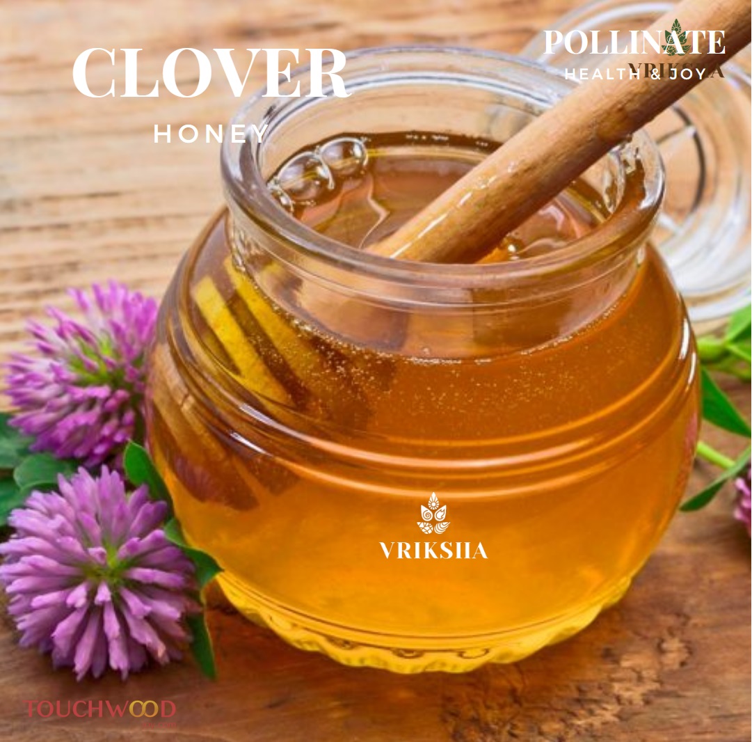 Clover Honey Image