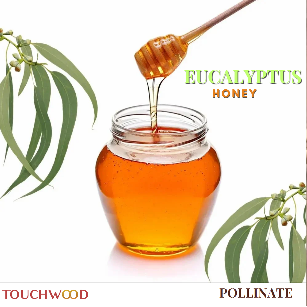 Eucalyptus Honey Image